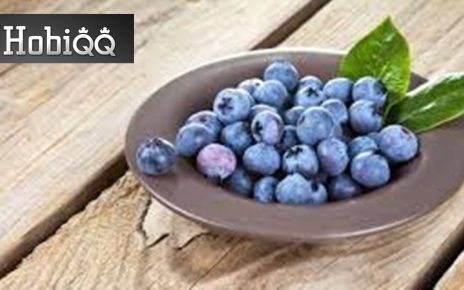 Manfaat Blueberry untuk Kesehatan