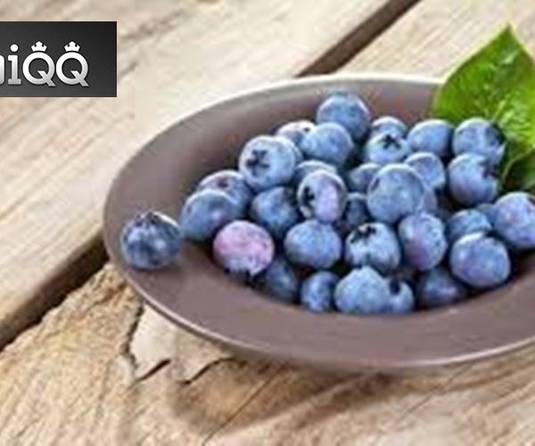 Manfaat Blueberry untuk Kesehatan