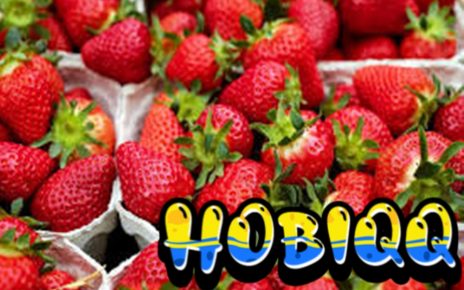 Kandungan Nutrisi dan Manfaat Strawberry