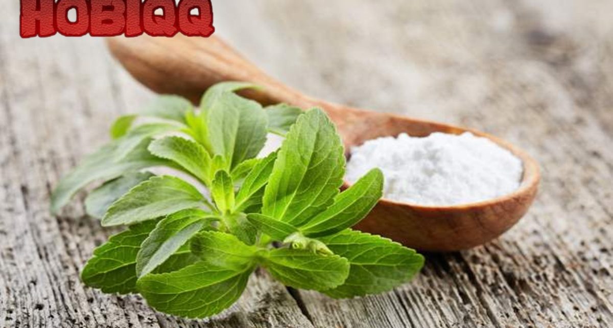 Stevia untuk Minuman