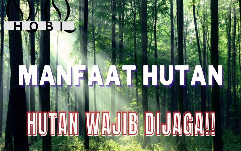 MANFAAT HUTAN UNTUK KEHIDUPAN