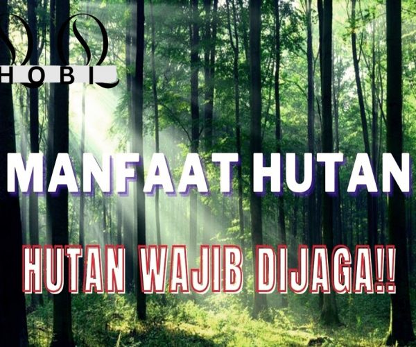 MANFAAT HUTAN UNTUK KEHIDUPAN