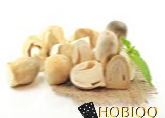 Ketahui Kandungan Nutrisi Jamur Merang