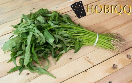 Manfaat Kangkung untuk Kesehatan