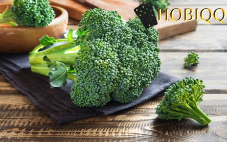manfaat sayur brokoli hijau bagi kesehatan