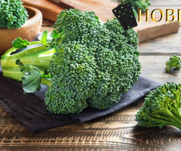 manfaat sayur brokoli hijau bagi kesehatan