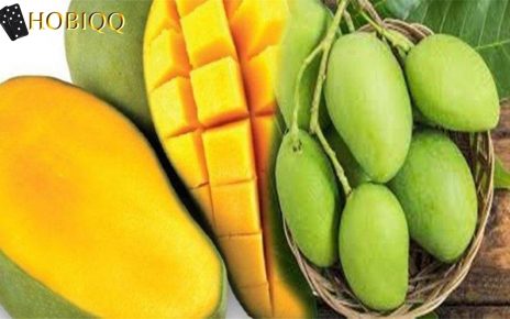 manfaat buah mangga pada kesehatan