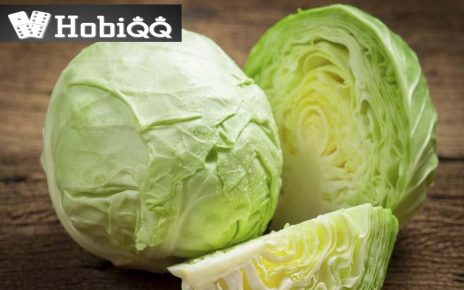 Manfaat Kol Putih bagi Kesehatan
