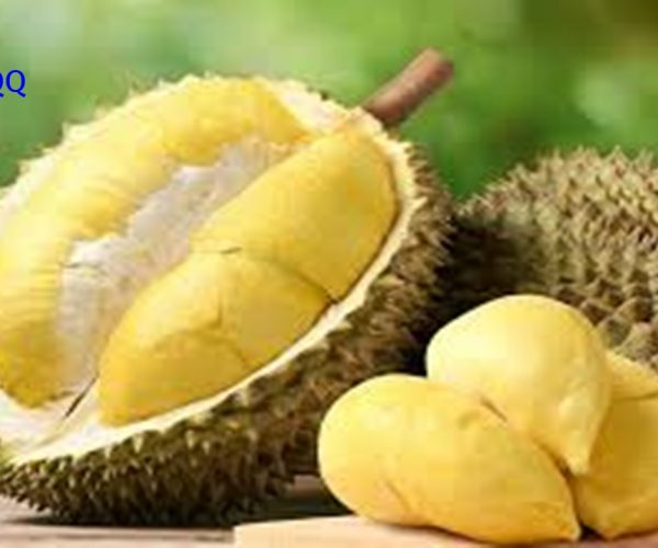 20 manfaat durian