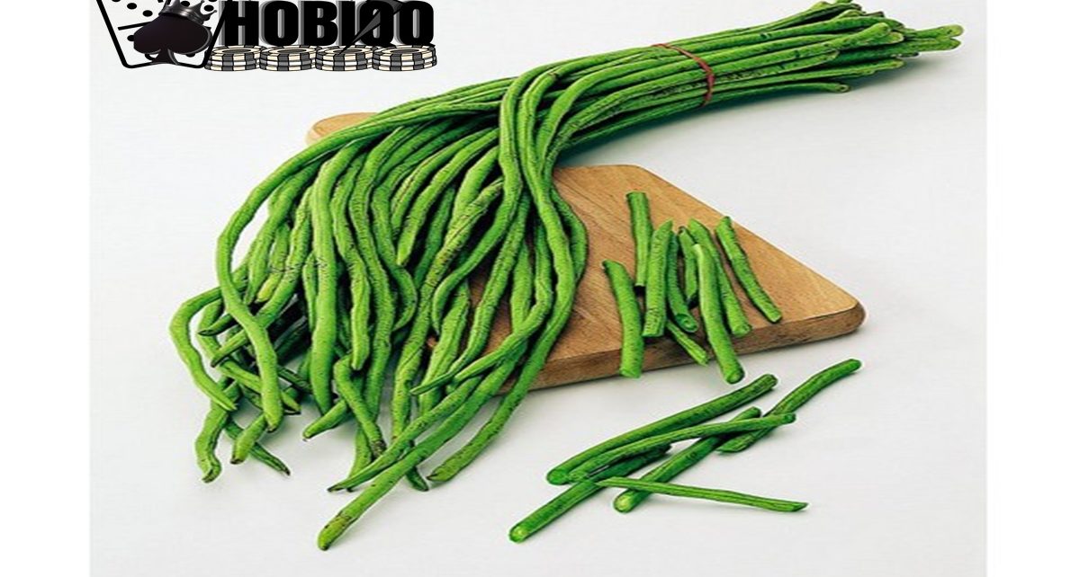 Manfaat kacang panjang bagi kesehatan