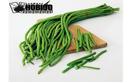 Manfaat kacang panjang bagi kesehatan