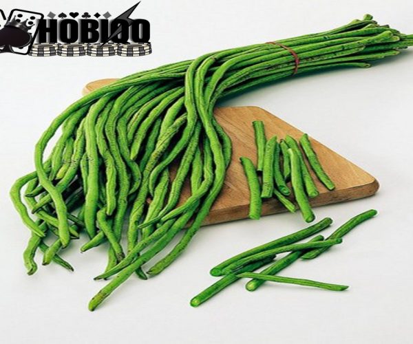 Manfaat kacang panjang bagi kesehatan