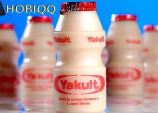 Manfat yakult bagi kesehatan tubuh