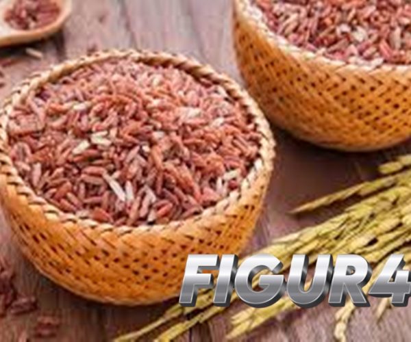 Manfaat Beras Merah bagi Kesehatan Tubuh