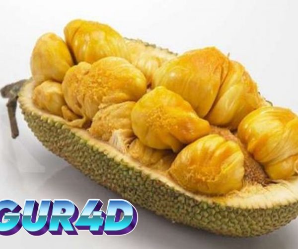 Manfaat Cempedak untuk Kesehatan
